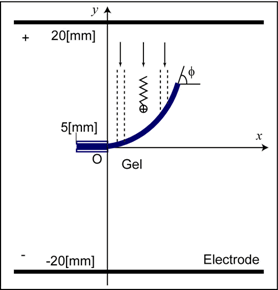 Illustrated deformation process of the gel